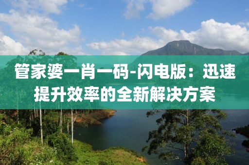 管家婆一肖一码-闪电版：迅速提升效率的全新解决方案