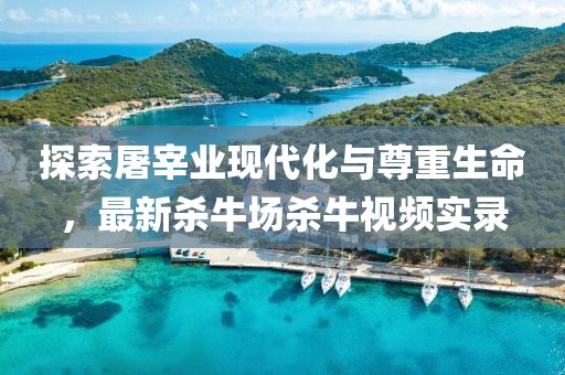 探索屠宰业现代化与尊重生命，最新杀牛场杀牛视频实录