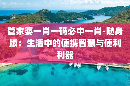 管家婆一肖一码必中一肖-随身版：生活中的便携智慧与便利利器