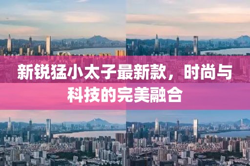 新锐猛小太子最新款，时尚与科技的完美融合