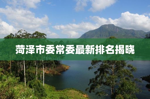 菏泽市委常委最新排名揭晓