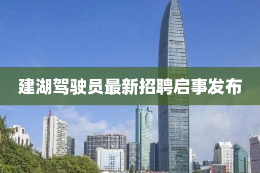 建湖驾驶员最新招聘启事发布