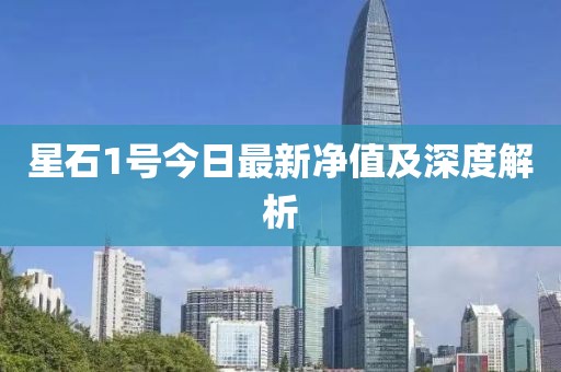 星石1号今日最新净值及深度解析
