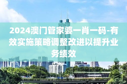 2024澳门管家婆一肖一码-有效实施策略调整改进以提升业务绩效