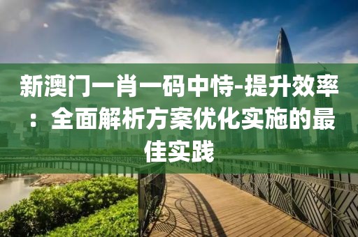 新澳门一肖一码中恃-提升效率：全面解析方案优化实施的最佳实践