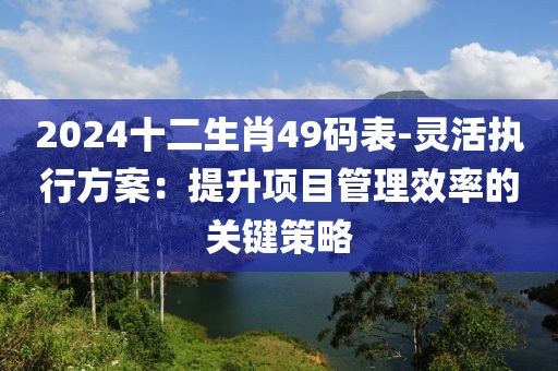 2024十二生肖49码表-灵活执行方案：提升项目管理效率的关键策略