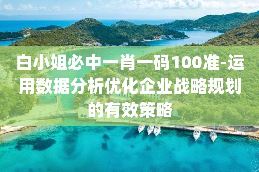 白小姐必中一肖一码100准-运用数据分析优化企业战略规划的有效策略