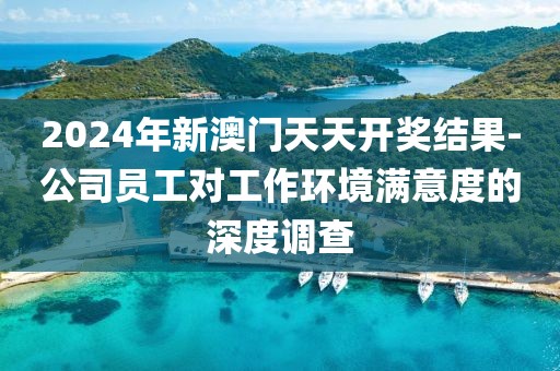 2024年新澳门天天开奖结果-公司员工对工作环境满意度的深度调查