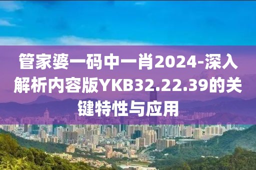 管家婆一码中一肖2024-深入解析内容版YKB32.22.39的关键特性与应用