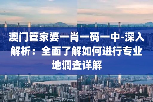 澳门管家婆一肖一码一中-深入解析：全面了解如何进行专业地调查详解