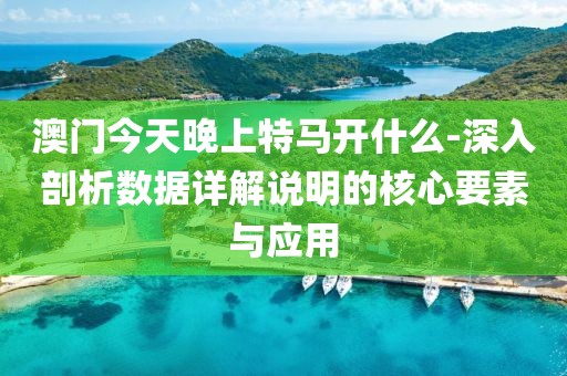 澳门今天晚上特马开什么-深入剖析数据详解说明的核心要素与应用