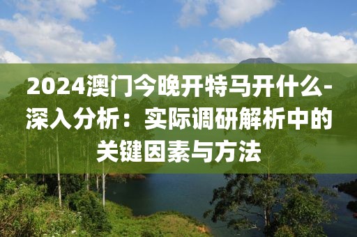 2024澳门今晚开特马开什么-深入分析：实际调研解析中的关键因素与方法