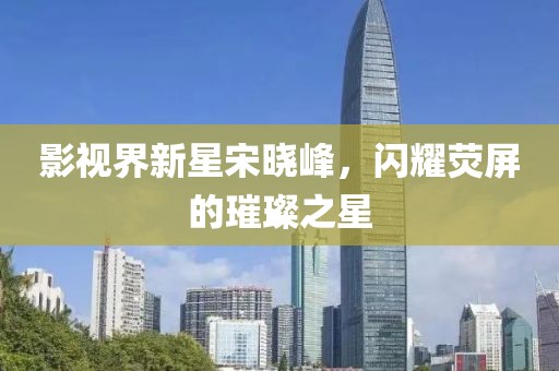 影视界新星宋晓峰，闪耀荧屏的璀璨之星