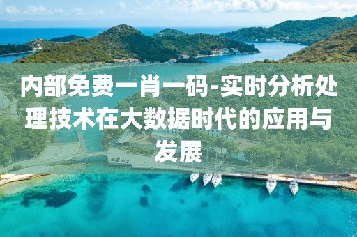 内部免费一肖一码-实时分析处理技术在大数据时代的应用与发展