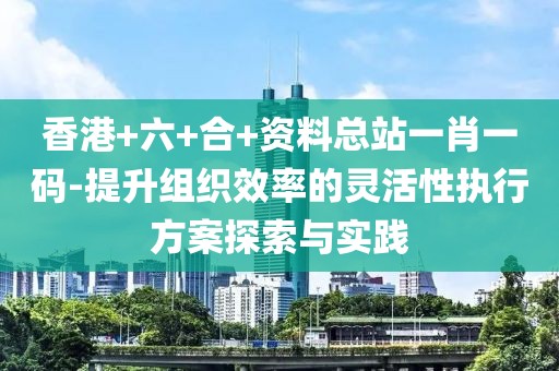 香港+六+合+资料总站一肖一码-提升组织效率的灵活性执行方案探索与实践