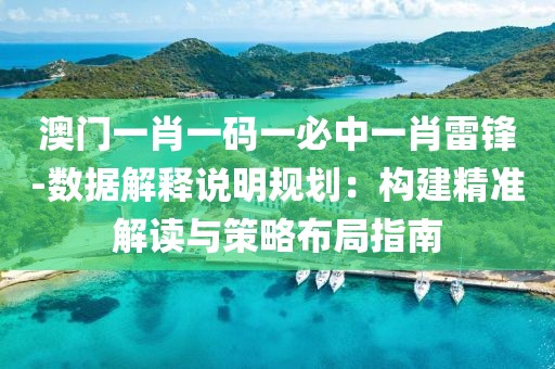澳门一肖一码一必中一肖雷锋-数据解释说明规划：构建精准解读与策略布局指南