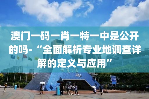 澳门一码一肖一特一中是公开的吗-“全面解析专业地调查详解的定义与应用”