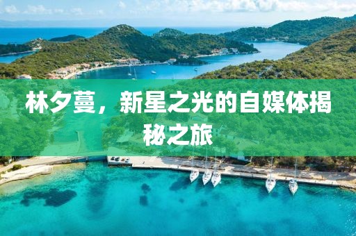 林夕蔓，新星之光的自媒体揭秘之旅