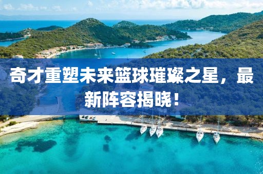奇才重塑未来篮球璀璨之星，最新阵容揭晓！