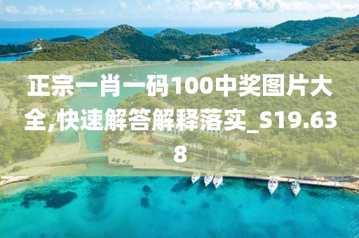 正宗一肖一码100中奖图片大全,快速解答解释落实_S19.638