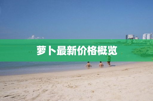 萝卜最新价格概览