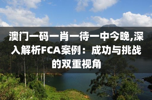 澳门一码一肖一待一中今晚,深入解析FCA案例：成功与挑战的双重视角