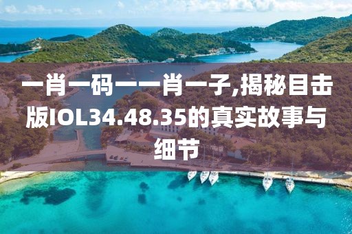 一肖一码一一肖一子,揭秘目击版IOL34.48.35的真实故事与细节