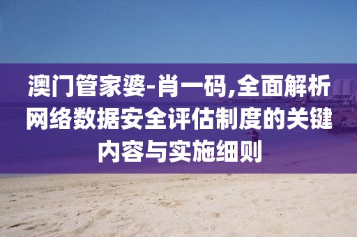 澳门管家婆-肖一码,全面解析网络数据安全评估制度的关键内容与实施细则