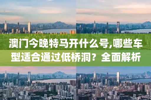 澳门今晚特马开什么号,哪些车型适合通过低桥洞？全面解析