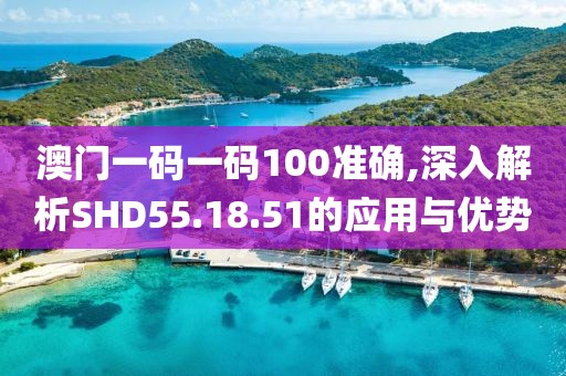 澳门一码一码100准确,深入解析SHD55.18.51的应用与优势