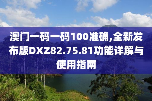 澳门一码一码100准确,全新发布版DXZ82.75.81功能详解与使用指南