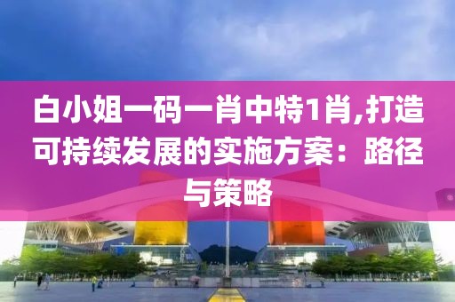 白小姐一码一肖中特1肖,打造可持续发展的实施方案：路径与策略
