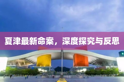 夏津最新命案，深度探究与反思