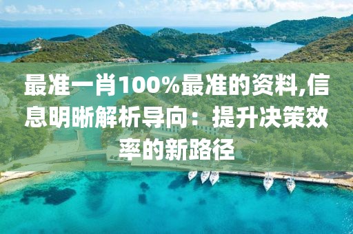 最准一肖100%最准的资料,信息明晰解析导向：提升决策效率的新路径