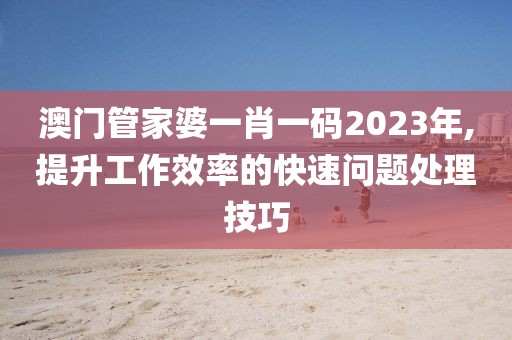 澳门管家婆一肖一码2023年,提升工作效率的快速问题处理技巧