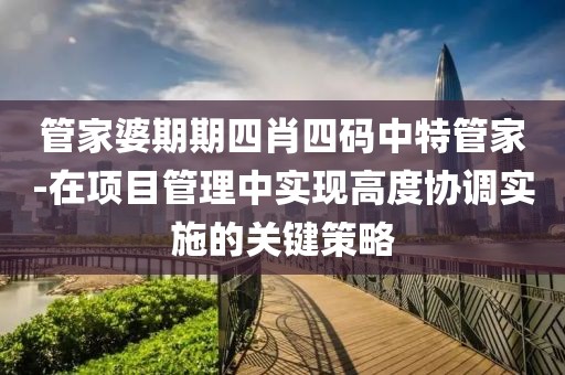 管家婆期期四肖四码中特管家-在项目管理中实现高度协调实施的关键策略
