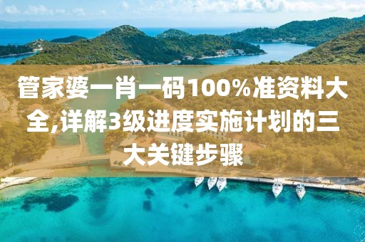 管家婆一肖一码100%准资料大全,详解3级进度实施计划的三大关键步骤