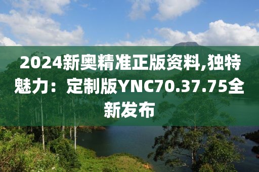 2024新奥精准正版资料,独特魅力：定制版YNC70.37.75全新发布