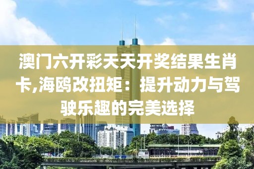 澳门六开彩天天开奖结果生肖卡,海鸥改扭矩：提升动力与驾驶乐趣的完美选择