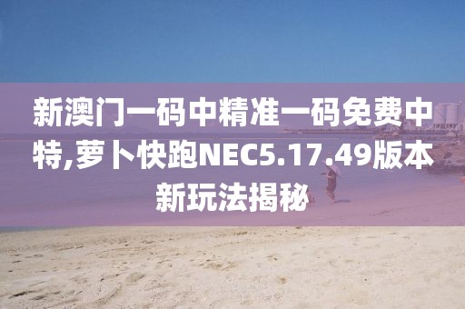 新澳门一码中精准一码免费中特,萝卜快跑NEC5.17.49版本新玩法揭秘