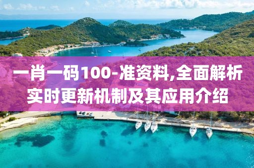 一肖一码100-准资料,全面解析实时更新机制及其应用介绍