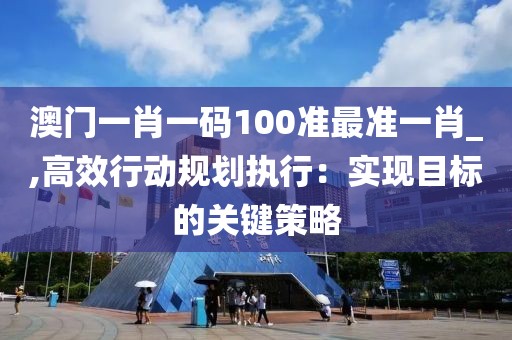 澳门一肖一码100准最准一肖_,高效行动规划执行：实现目标的关键策略
