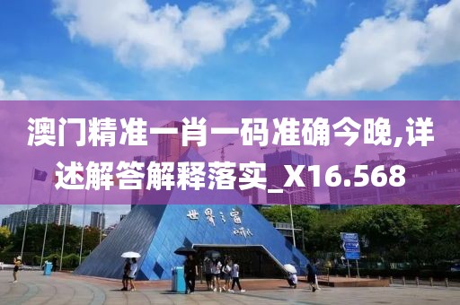 澳门精准一肖一码准确今晚,详述解答解释落实_X16.568