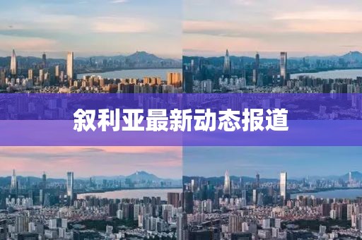 叙利亚最新动态报道