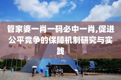 管家婆一肖一码必中一肖,促进公平竞争的保障机制研究与实践