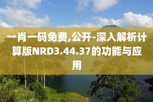 一肖一码免费,公开-深入解析计算版NRD3.44.37的功能与应用