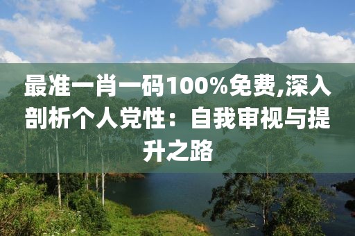 最准一肖一码100%免费,深入剖析个人党性：自我审视与提升之路