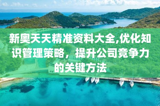 新奥天天精准资料大全,优化知识管理策略，提升公司竞争力的关键方法