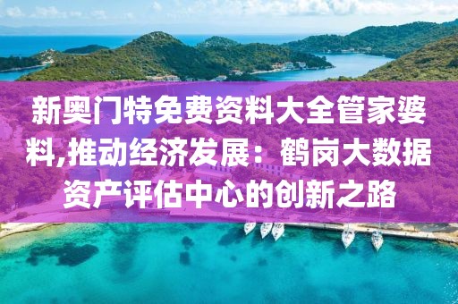 新奥门特免费资料大全管家婆料,推动经济发展：鹤岗大数据资产评估中心的创新之路