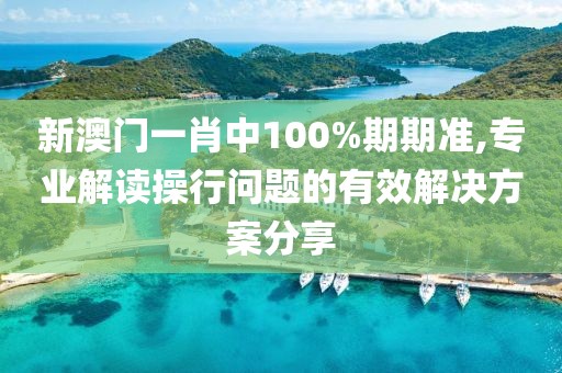 新澳门一肖中100%期期准,专业解读操行问题的有效解决方案分享